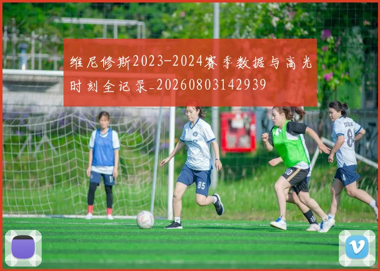 维尼修斯2023-2024赛季数据与高光时刻全记录_20260803142939