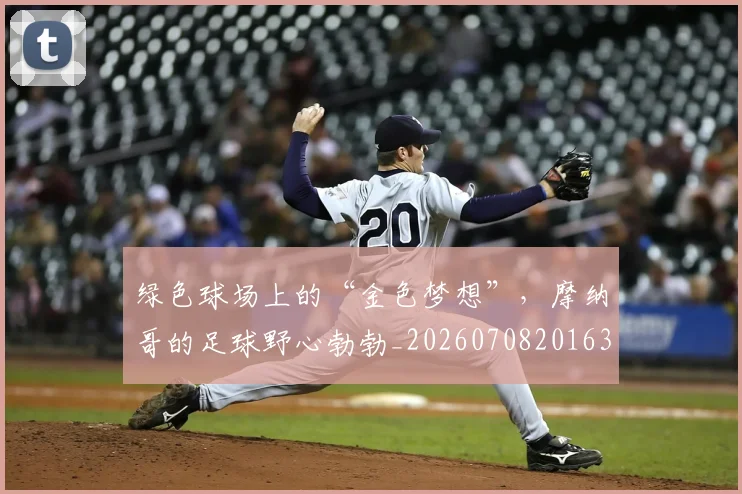 绿色球场上的“金色梦想”，摩纳哥的足球野心勃勃_20260708201639