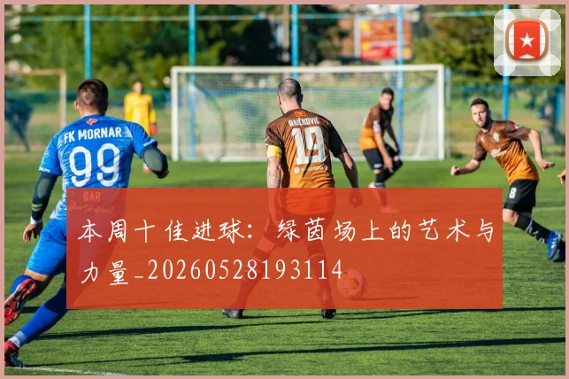 本周十佳进球:绿茵场上的艺术与力量_20260528193114