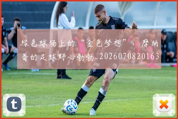 绿色球场上的“金色梦想”,摩纳哥的足球野心勃勃_20260708201639