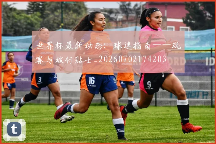 世界杯最新动态:球迷指南——观赛与旅行贴士_20260702174203