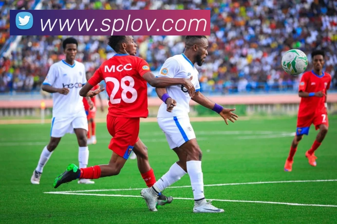 AI Risk Control
